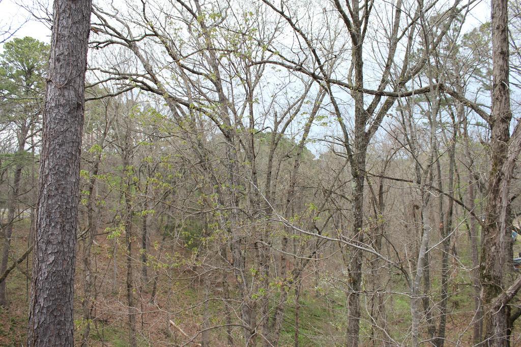 Brydan Suites Eureka Springs Bagian luar foto